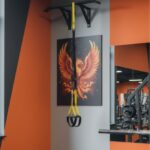 Suspension Training Strap